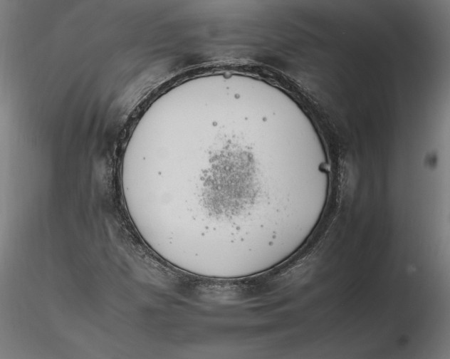 X0000116261257200912291449
