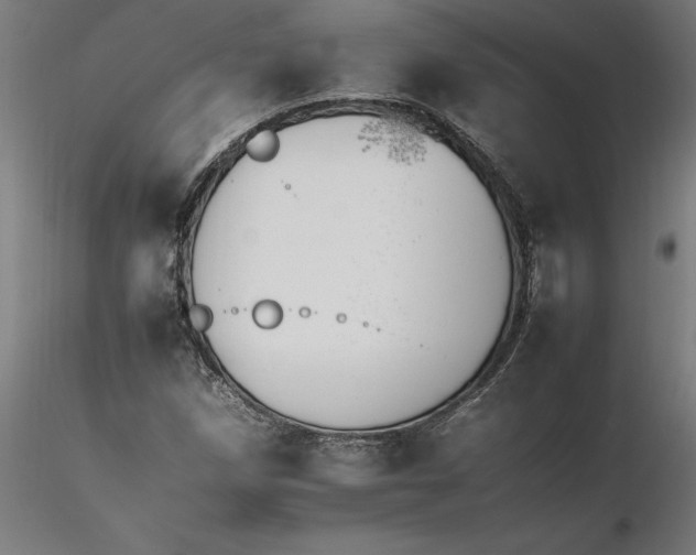 X0000116261258200912291449