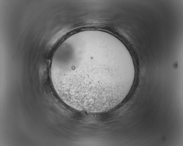 X0000116261259200912291449
