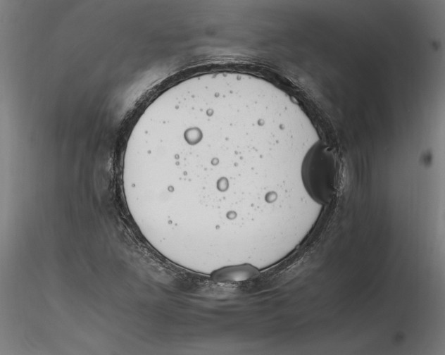 X0000116261261200912291449