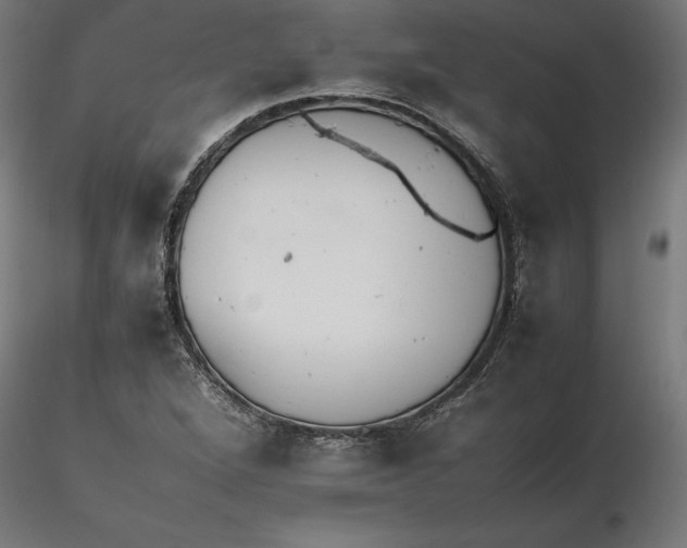 X0000116261264200912291449