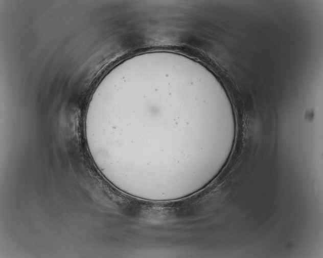 X0000116261265200912291449