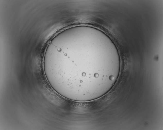 X0000116261266200912291449