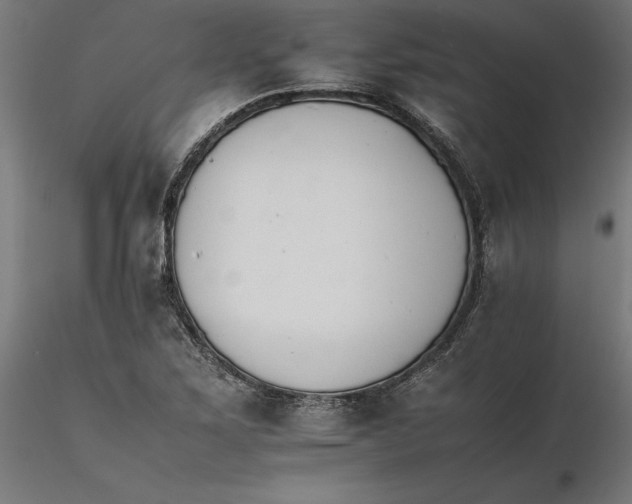 X0000116261267200912291449