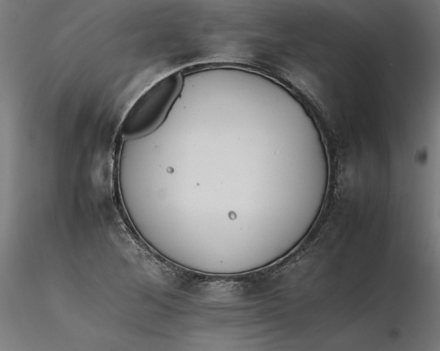 X0000116261268200912291449