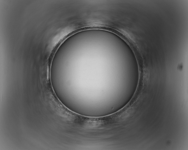 X0000116261269200912291449