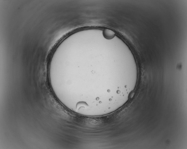 X0000116261270200912291449