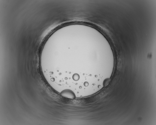 X0000116261271200912291449