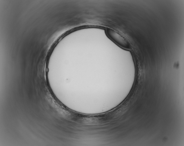 X0000116261272200912291449