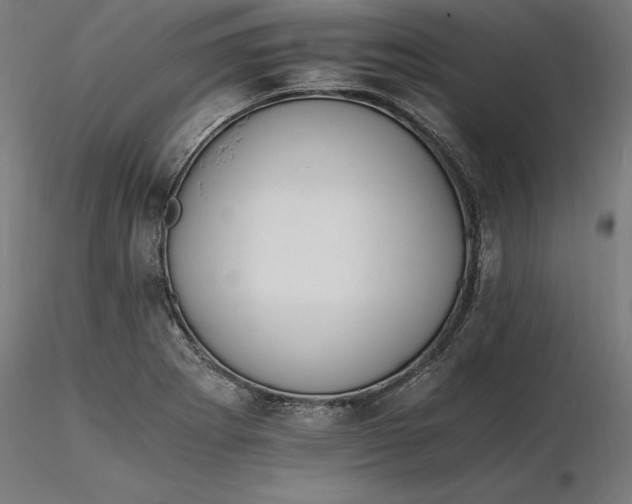 X0000116261273200912291449