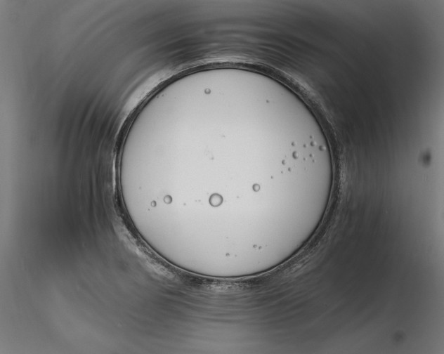 X0000116261274200912291449