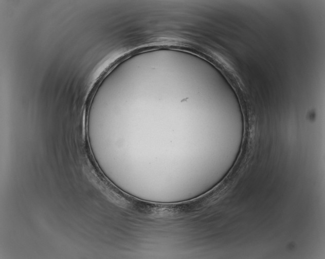 X0000116261275200912291449