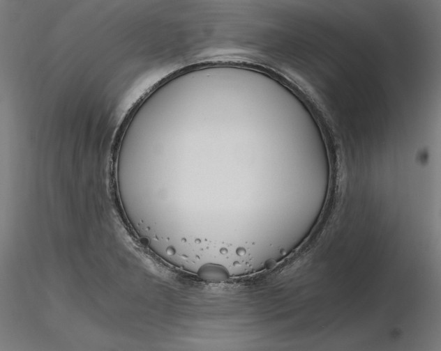 X0000116261277200912291449