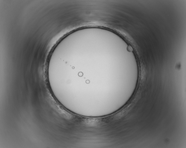 X0000116261278200912291449
