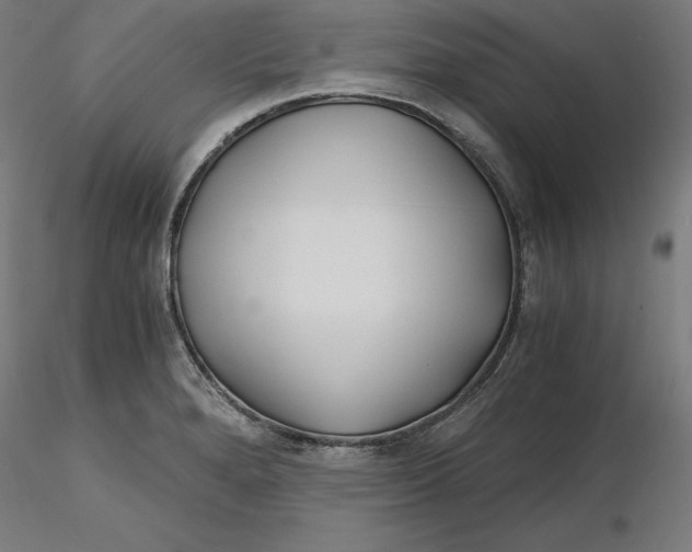 X0000116261280200912291448
