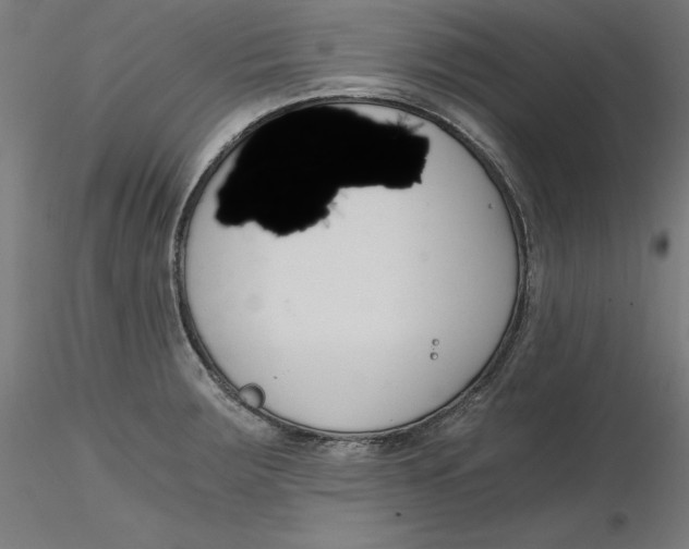 X0000116261283200912291448
