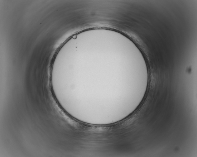 X0000116261286200912291448