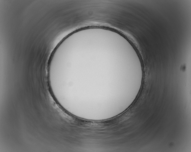 X0000116261287200912291448