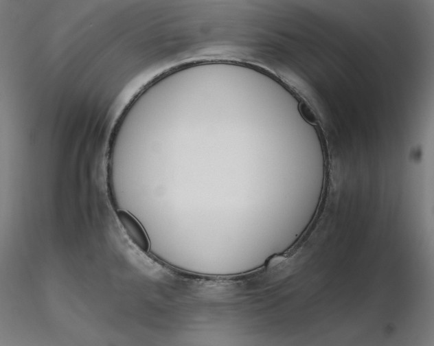 X0000116261288200912291448