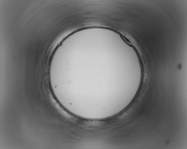 X0000116261293200912291448