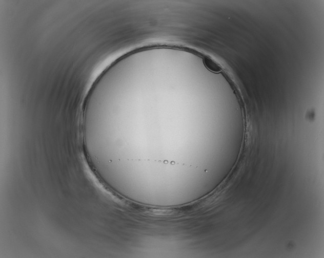 X0000116261295200912291448