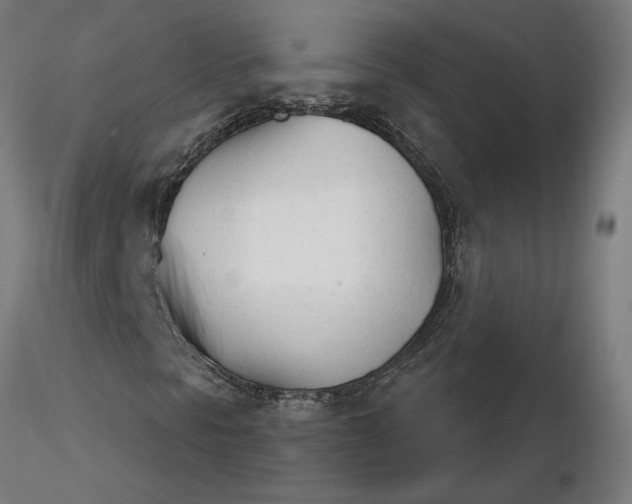 X0000116261297200912291448