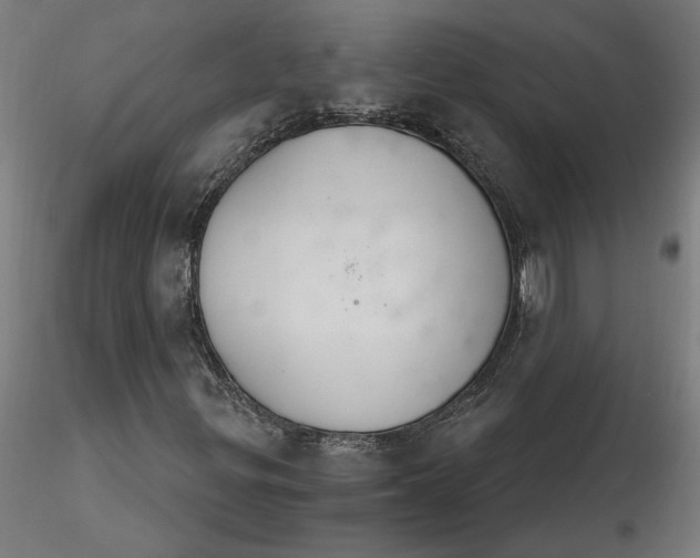 X0000116261299200912291448