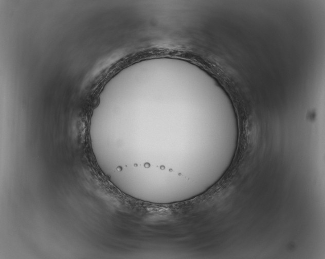 X0000116261302200912291448