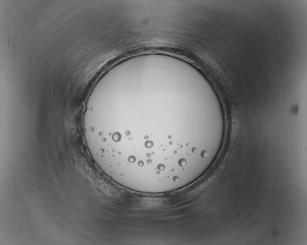 X0000116261305200912291448