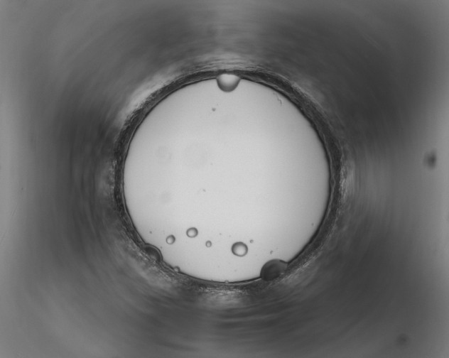 X0000116261309200912291448