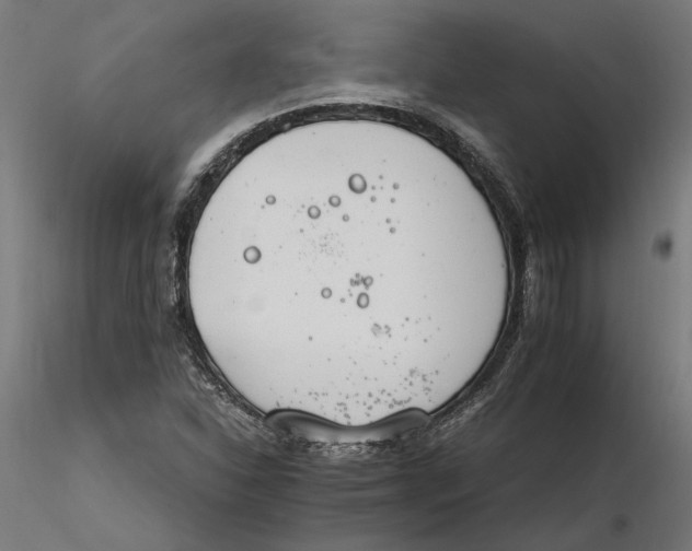 X0000116261310200912291448