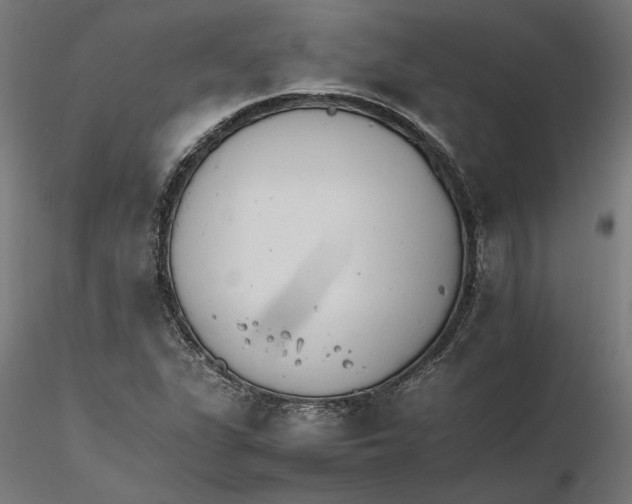 X0000116261311200912291448