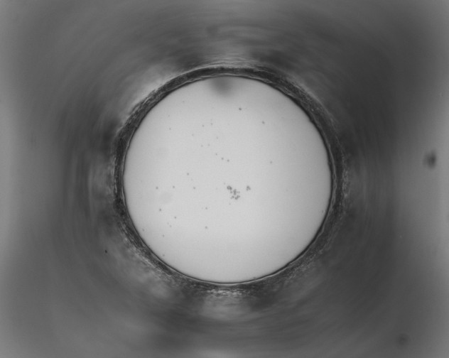 X0000116261315200912291448