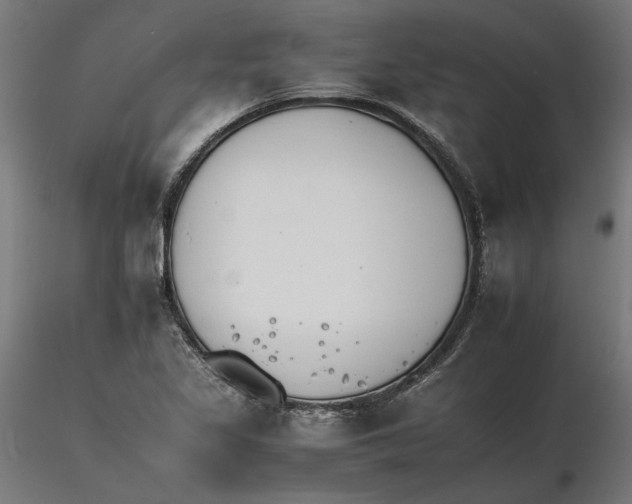 X0000116261317200912291448