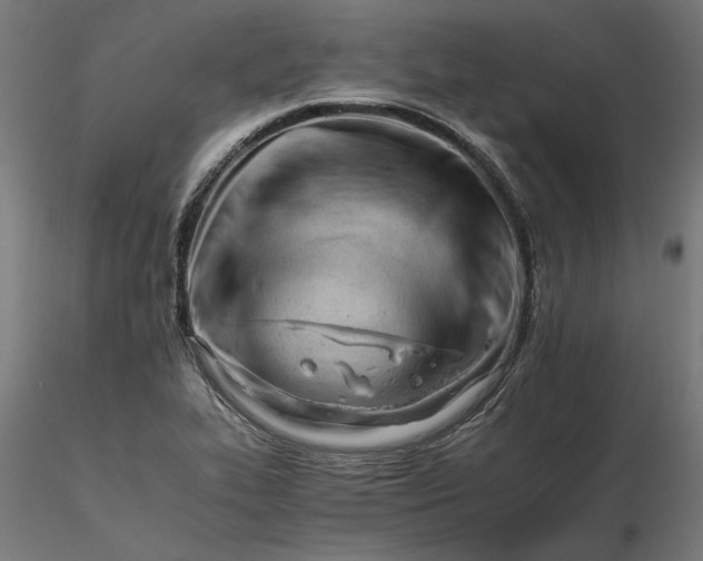 X0000116261319200912291448