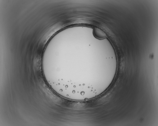 X0000116261321200912291448