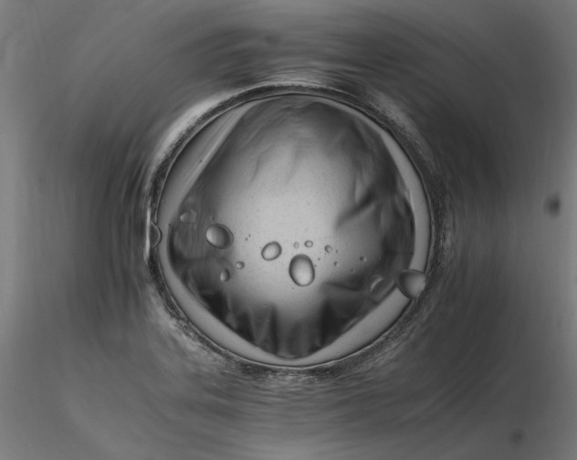 X0000116261323200912291448