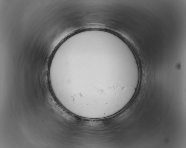 X0000116261325200912291448