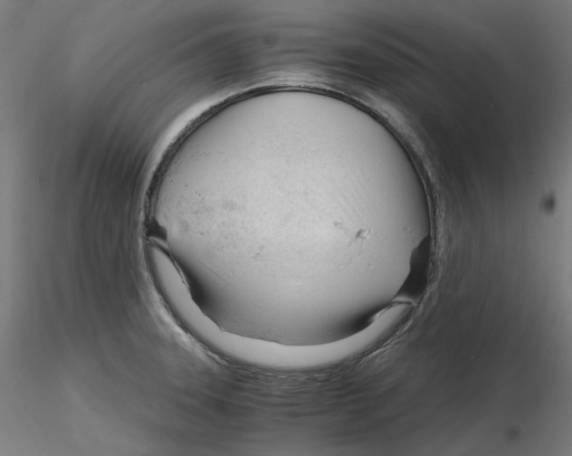 X0000116261331200912291448