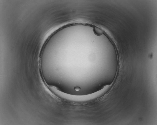 X0000116261335200912291448