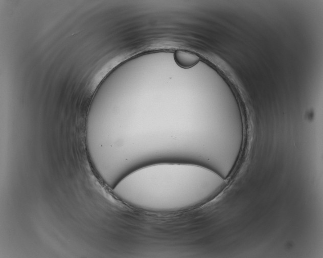X0000116261337200912291448
