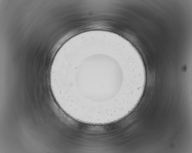 X0000116261338200912291448