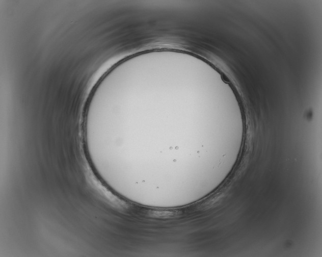 X0000116261339200912291448