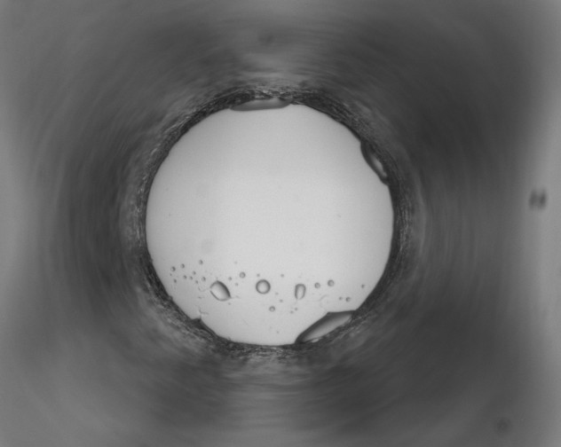 X0000116261345200912291448