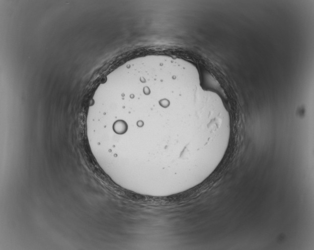 X0000116261349200912291448