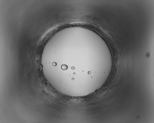 X0000116261351200912291448