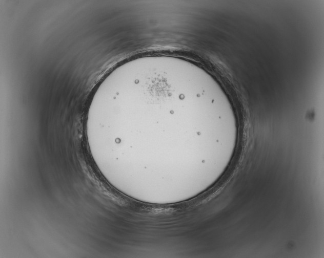 X0000116261353200912291447