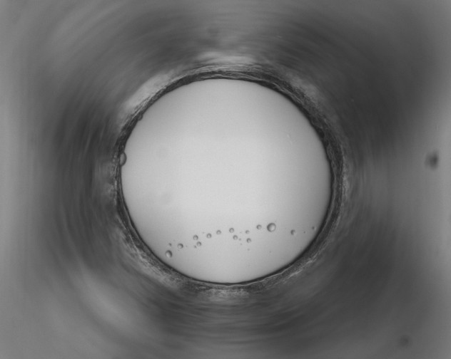 X0000116261354200912291447
