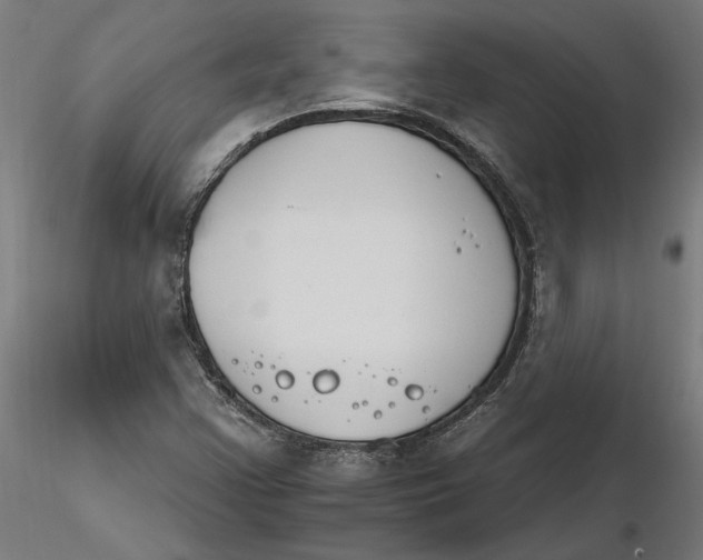 X0000116261355200912291447