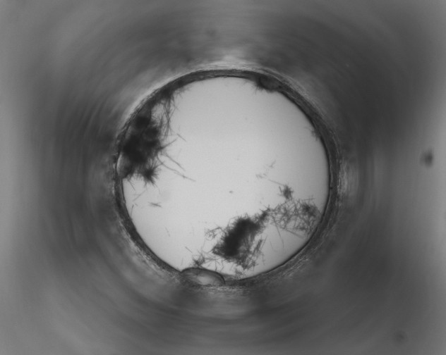 X0000116261356200912291447